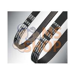 Courroie crantée 8 nervures PJ 914 mm Optibelt | OPTIBELT Courroie crantée 8 nervures PJ 914 mm Optibelt | OPTIBELTPR#826608