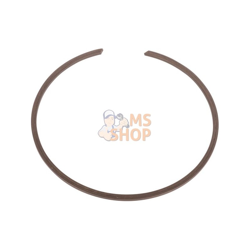 Ring | CNH Ring | CNHPR#1077496