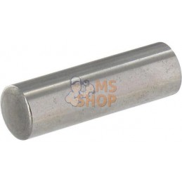 Piston pin | ANNOVI REVERBERI Piston pin | ANNOVI REVERBERIPR#895227