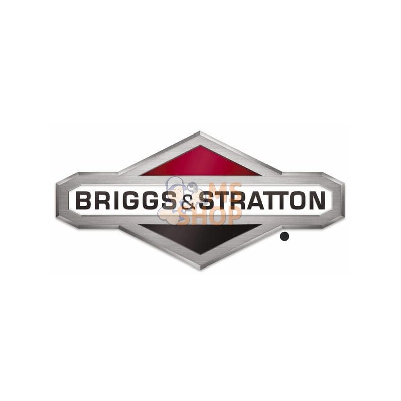 Arrêtoir biellette | BRIGGS & STRATTON Arrêtoir biellette | BRIGGS & STRATTONPR#408671