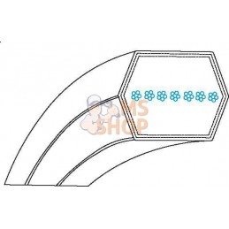 Courroie 6 pans | MTD Courroie 6 pans | MTDPR#33522