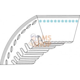 Courroie | MTD Courroie | MTDPR#33488