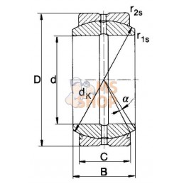 Rotule | SKF Rotule | SKFPR#606759