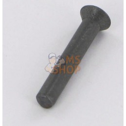 Rivet 5 x 30 DIN 661 | RABE Rivet 5 x 30 DIN 661 | RABEPR#782784