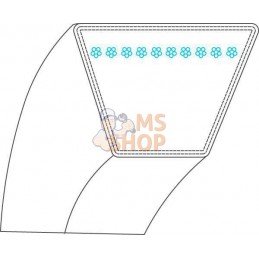 Courroie | ETESIA Courroie | ETESIAPR#24393
