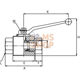 Robinet a 2 voies en inox 1/4 BSP | PH HYDRAULIK Robinet a 2 voies en inox 1/4 BSP | PH HYDRAULIKPR#1142162