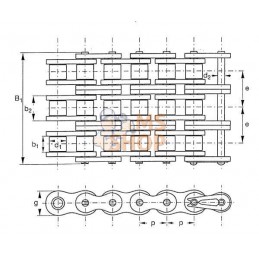 Chaîne à rouleaux triple 16B3 | REXNORD Chaîne à rouleaux triple 16B3 | REXNORDPR#1143729