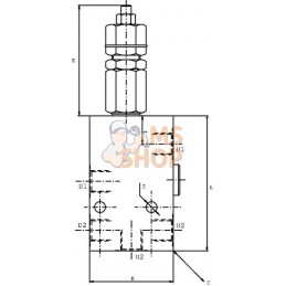 Valve équilibr. N1516 3/4 G5P4 | WALVOIL Valve équilibr. N1516 3/4 G5P4 | WALVOILPR#1151795