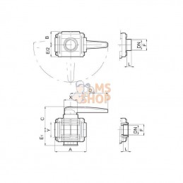 453025E66; ARAG; Bille - soupape 3 voies 1 1/2"; pièce detachée