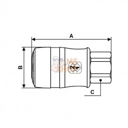 ERG071101; PREVOST; Raccord rap. fem BSP1/4"; pièce detachée