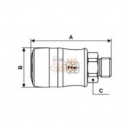 ERG071151; PREVOST; Raccord rap. mâle BSP1/4"; pièce detachée