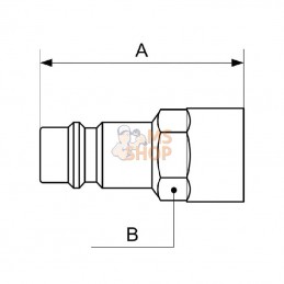 ERP076101; PREVOST; Racc. rap. filet fem. BSP 1/4"; pièce detachée