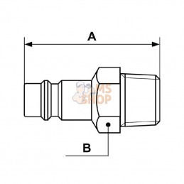 ERP076151; PREVOST; Racc. rap. filet mâle BSP 1/4"; pièce detachée