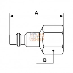 IRP066101; PREVOST; Racc. rap. filet fem. BSP 1/4"; pièce detachée