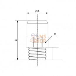 PVRRFM202512; PREVOST; Adaptat. Prevost 20x1/2" BSP M; pièce detachée