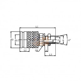 SKPF16N26; STAUFF; Coupleur femelle 3/4-M26x1,5; pièce detachée