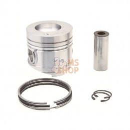 00860060AN; RAICO; Piston complet X 100; pièce detachée