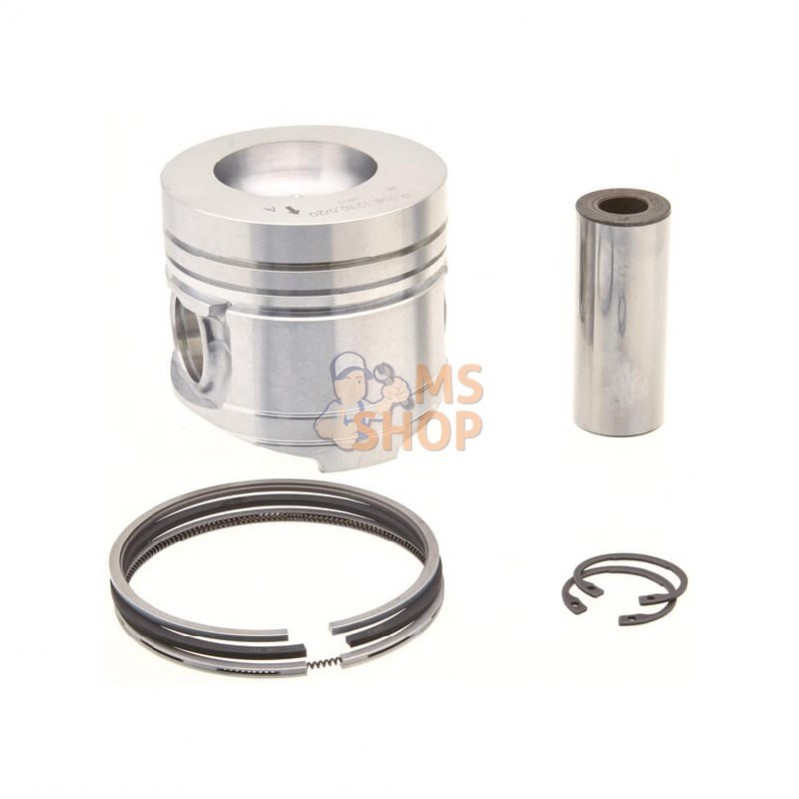 00860060AN; RAICO; Piston complet X 100; pièce detachée