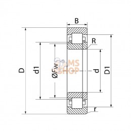 NUP2204ETVP2; INA/FAG; Roulement à rouleaux cylindriques 20x47x18 mm, NUP2204-E-TVP2 INA/FAG; pièce detachée