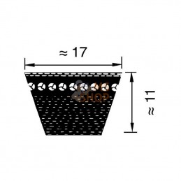 BX171690; OPTIBELT; Courroie flancs nus, crantée; pièce detachée