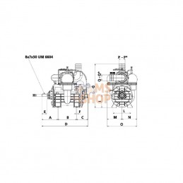 MEC9000PL; BATTIONI PAGANI; Pompe à vide+poulie B.P.; pièce detachée