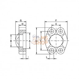 AFSI620; OLEO TECNICA; Demi-bride SAE 6000 1"1/4; pièce detachée