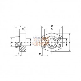 GFS312GU08; OLEO TECNICA; Contre-bride SAE3000 3/4-1/2; pièce detachée