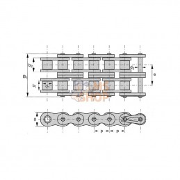 KD1121; REX PRO; Chaîne à rouleaux double 24B2; pièce detachée