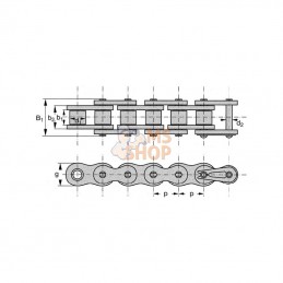 KE1172; REX PRO; Chaîne à rouleaux 16B1; pièce detachée