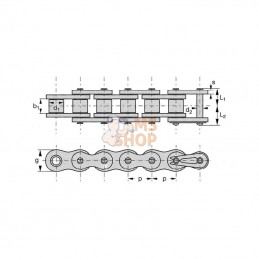 KE160; REX PRO; Chaîne à rouleaux ASA 160; pièce detachée