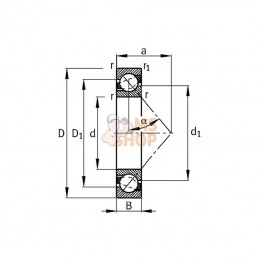 75007305BEP; SKF; Roulement à billes à contact oblique 25x62x17 mm, 7305BEP SKF; pièce detachée