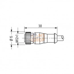 7000122416350500; MURR ELEKTRONIK; Câble de capteur, M12, 5P, 5 m; pièce detachée