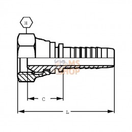 PGL618; ALFAGOMMA; Embout DN06 F M18x1.5-12L; pièce detachée