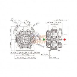 146022973VD; BERTOLINI; Pompe Poly 2300-VD Bertolini; pièce detachée