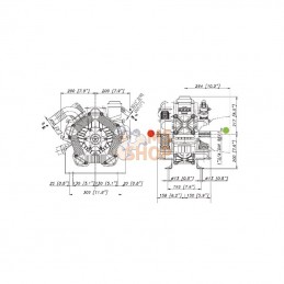 557000973DS; BERTOLINI; Pompe, Poly 2240-VD, Bertolini; pièce detachée