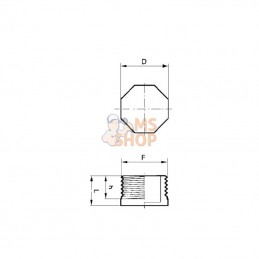 PLUG050; BANJO; Bouchon 1/2" NPT PP; pièce detachée