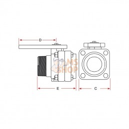 VSMT200; BANJO; Soupape NPT2" fil m x 2" fil f; pièce detachée