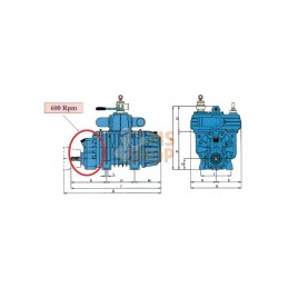 STAR60M; BATTIONI PAGANI; Pompe B.P lubrification man.; pièce detachée