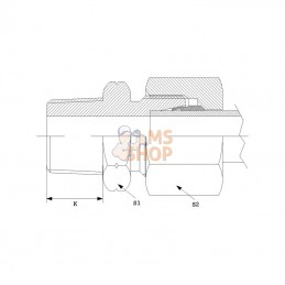 GEV12L14NPTRVS; DICSA; Raccord à visser mâle 12L 1/4 NPT Inox; pièce detachée