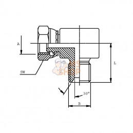 MF9006KRVS; DICSA; Équerre compacte M/M3/8BSP in; pièce detachée