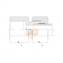 GAV6LM10RVS; DICSA; Raccord à visser femelle inox; pièce detachée