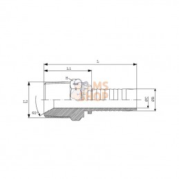 PE64RVS; DICSA; Raccord à sertir DN06-1/4" NPT-Inox; pièce detachée