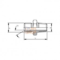 VNBN06RVS; DICSA; Nipple 3/8 BSP x 3/8 NPT inox; pièce detachée