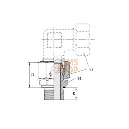 EGESD16SR38WDRVS; DICSA; Raccord à visser 16S R38 WD Inox; pièce detachée