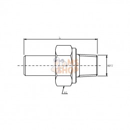 EGES10L14NPTRVS; DICSA; Raccord 10 L 1/4 NPT Inox; pièce detachée