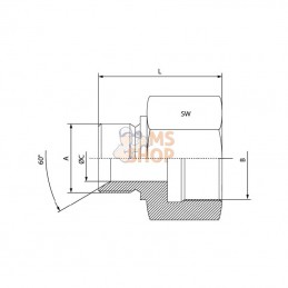 VRB1208RVS; DICSA; Adaptateur M/W 3/4x1/2BSP inox; pièce detachée