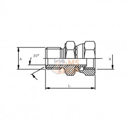 VNBW06RVS; DICSA; Adaptateur M/W 3/8 BSP; pièce detachée