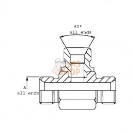 T08MRVS; DICSA; Pièce en T 1/2 BSP inox; pièce detachée