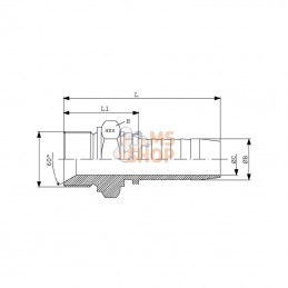 PN106RVS; DICSA; Raccord a sertir DN10-3/8-BSP; pièce detachée