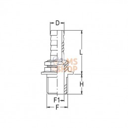 8001252; GEOLINE; Embout 25 mm x 1" M; pièce detachée